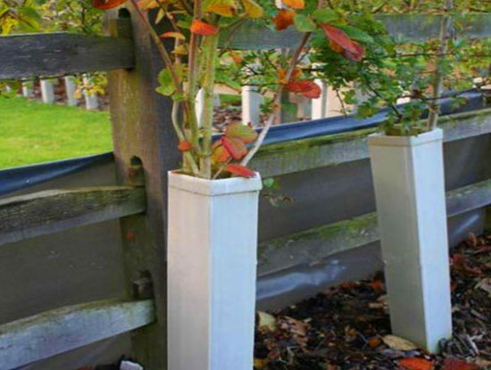 塑胶中空板树桩保护架