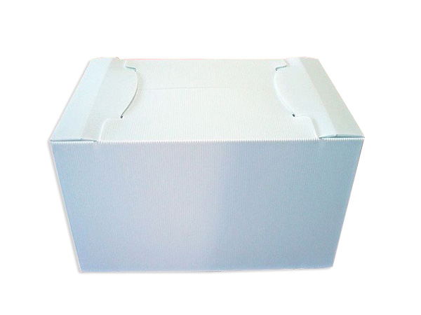 纸箱型中空板周转箱