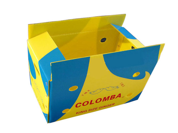 纸箱型中空板周转箱