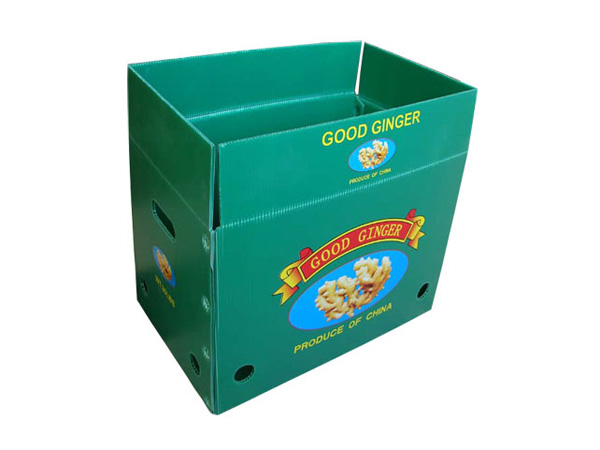 纸箱型中空板周转箱